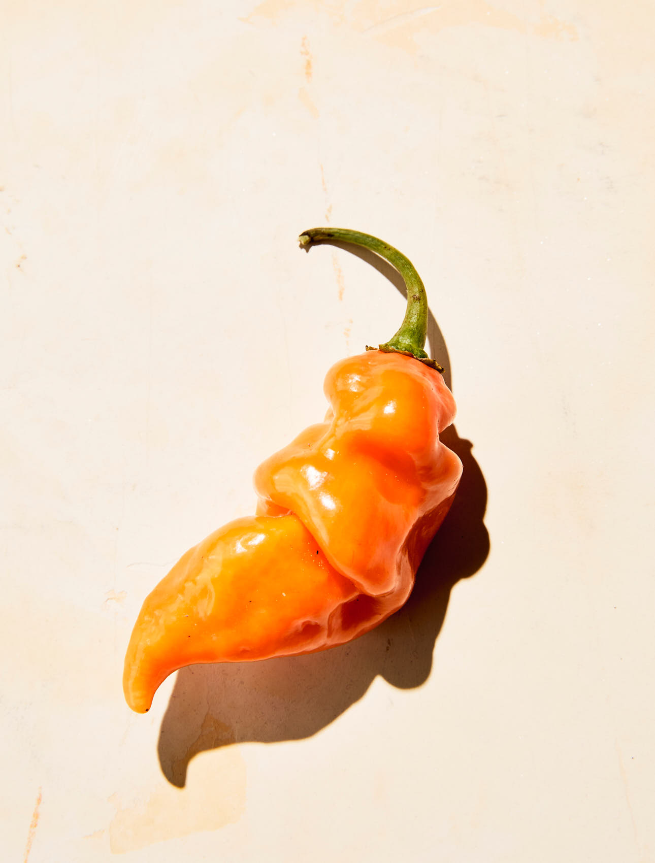 Peppers_Cover1_1553_web
